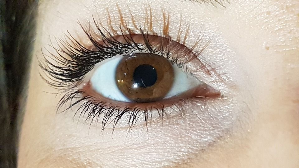 Apakah Semua Eyelash Bentuknya Sama? Simak Penjelasannya Untuk Pengetahuan Kamu