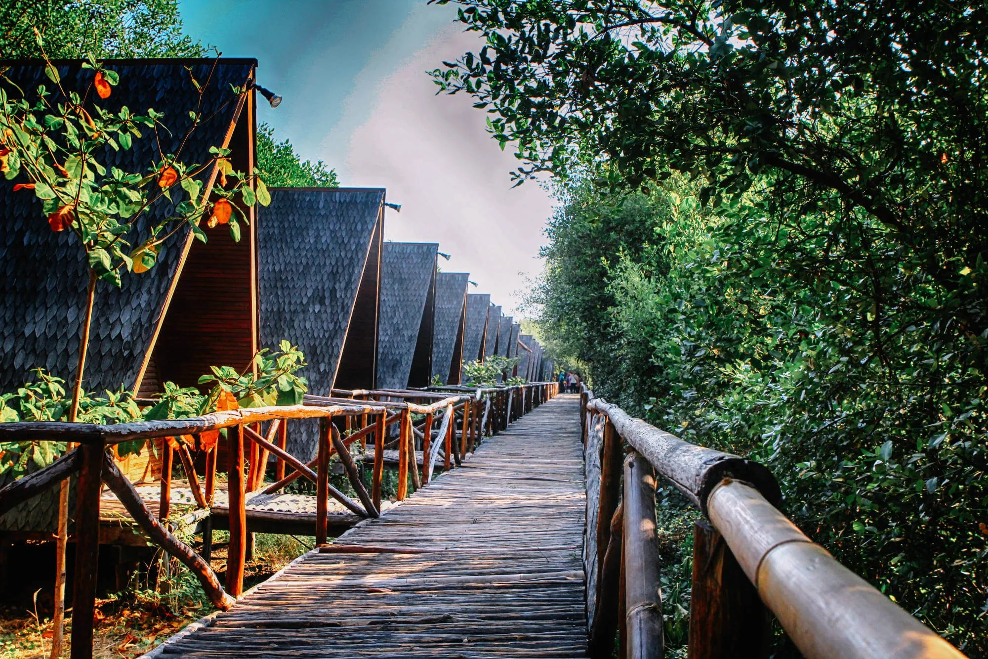 65b35cd17dda1d3016f77b20_Taman-Wisata-Alam-Mangrove.webp
