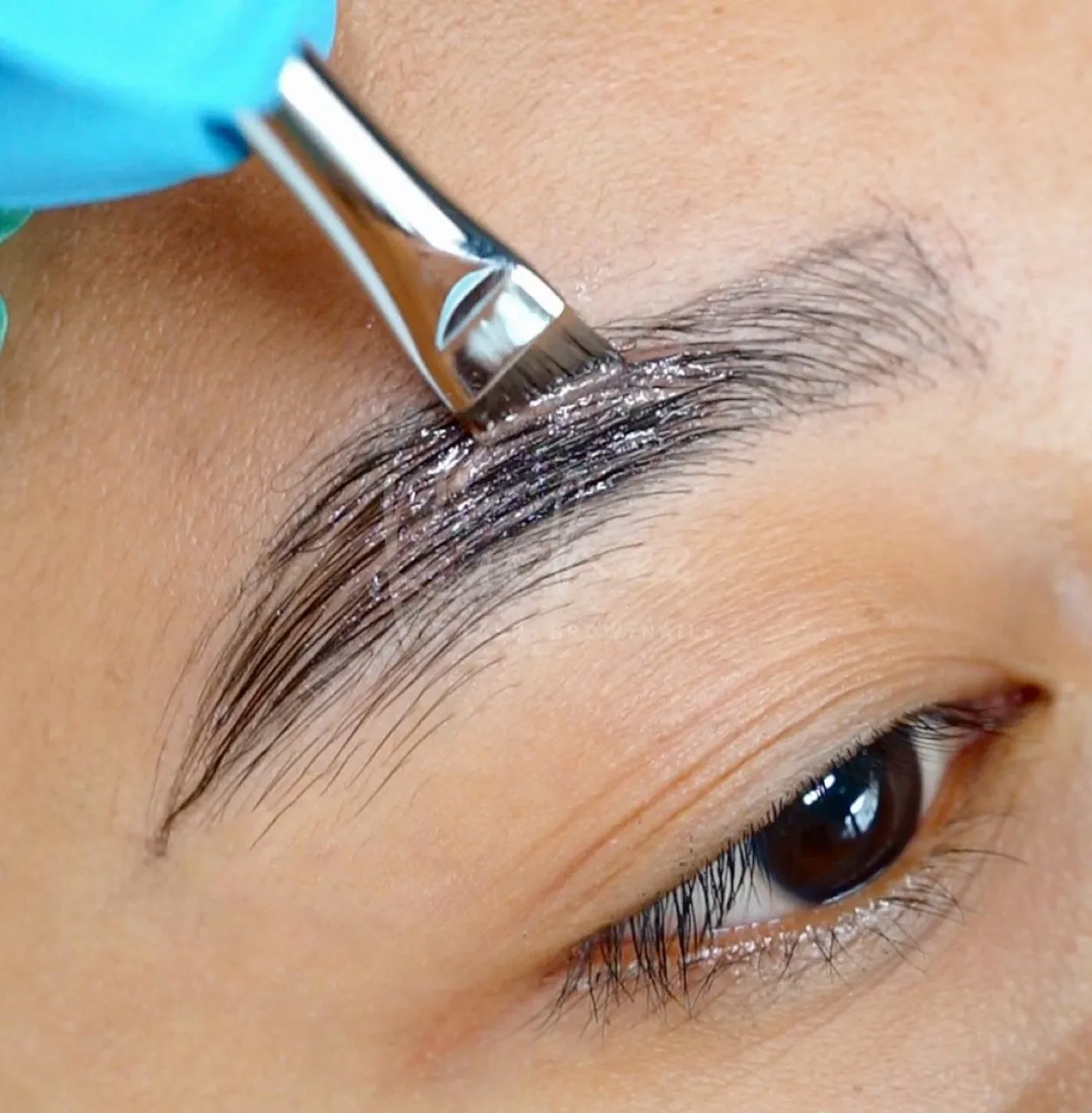 Brow Rejuvenation, Rahasia Alis Tebal, Rapi dan Cantik Paripurna