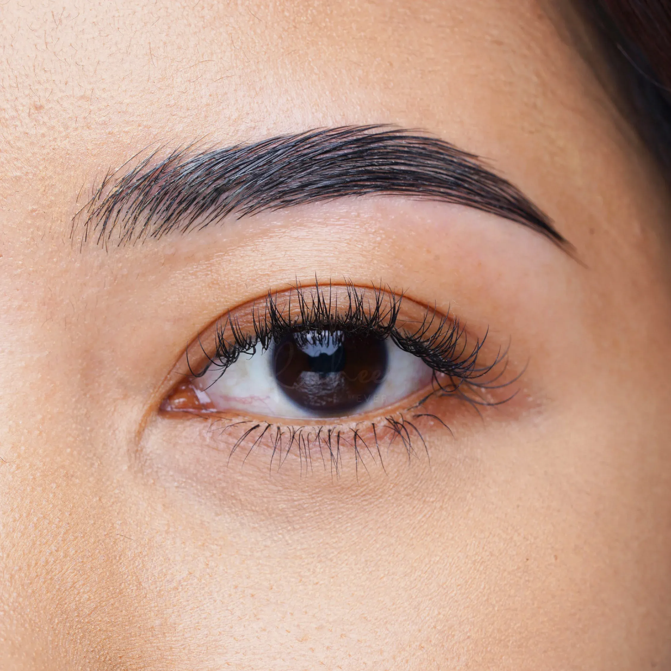 Panduan Lengkap Aftercare Brow Lamination: Rahasia Alis Rapi 4-6 Minggu Tanpa Ribet