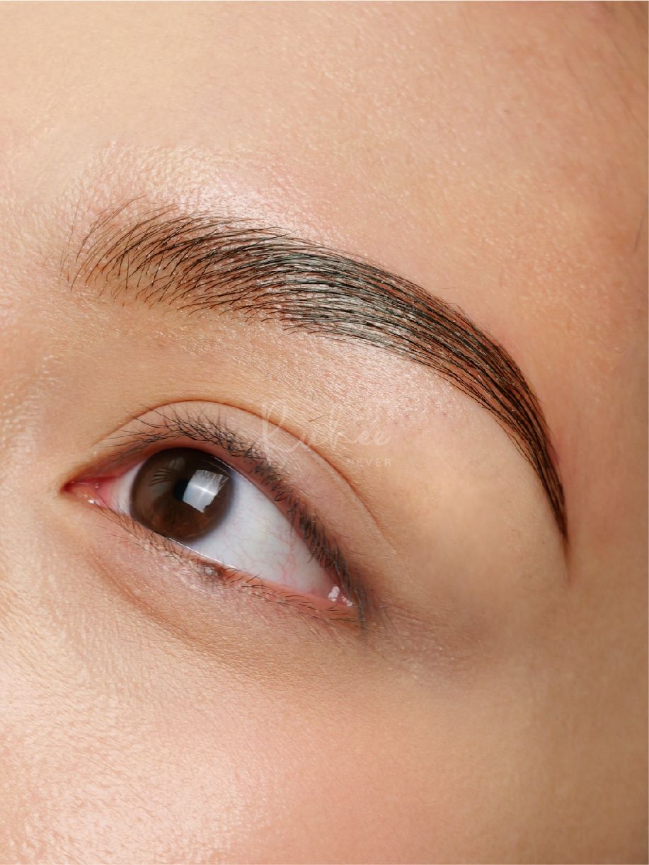 Brow Bomber