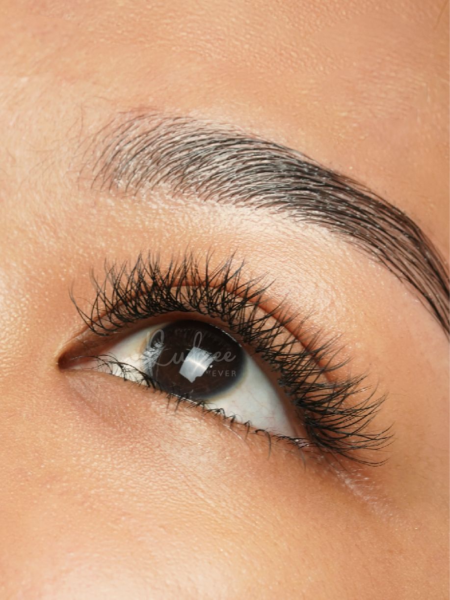 Volume Lash